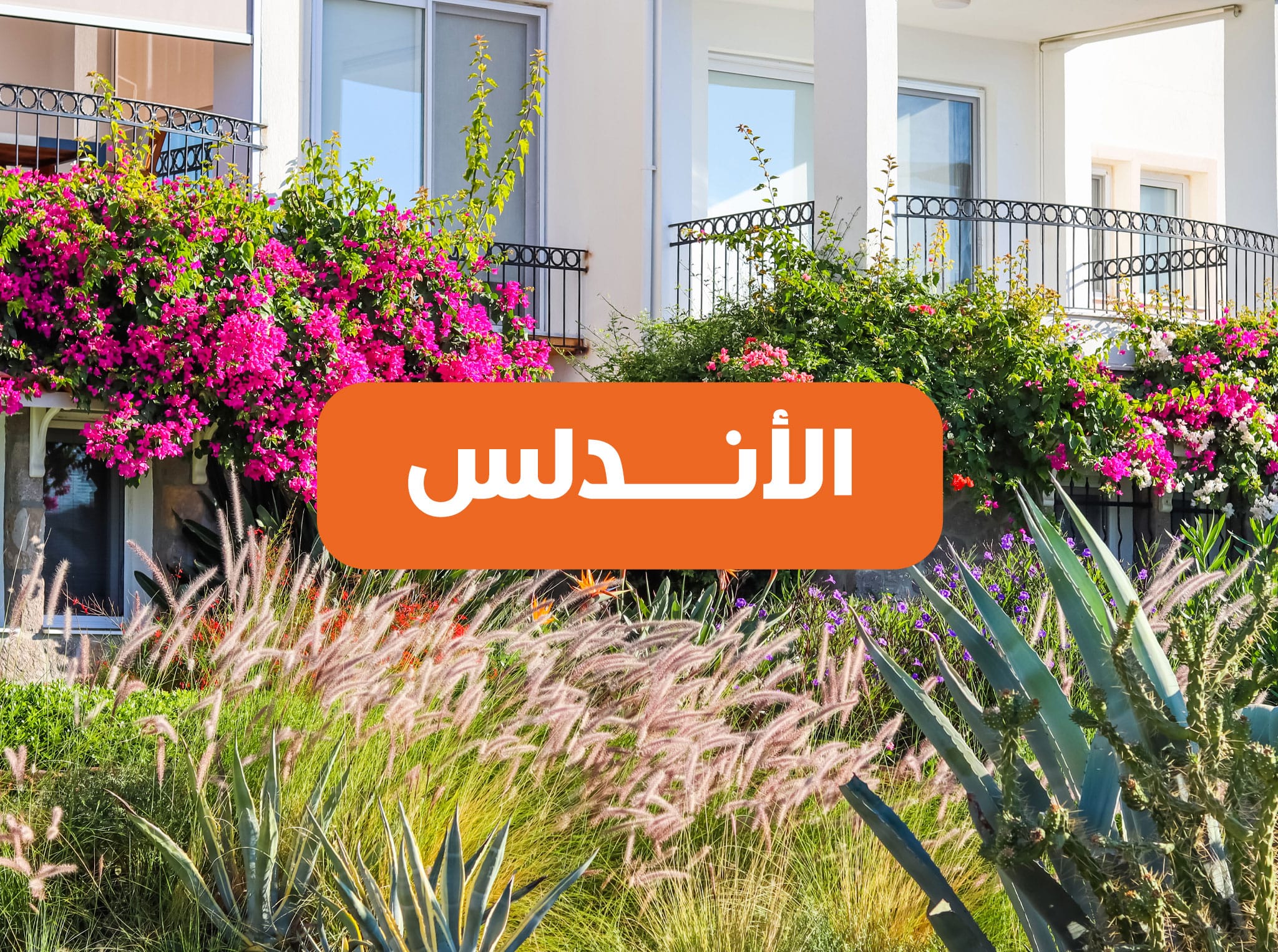 حي الأندلس التجمع الخامس القاهرة الجديدة